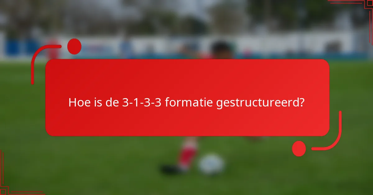 Hoe is de 3-1-3-3 formatie gestructureerd?
