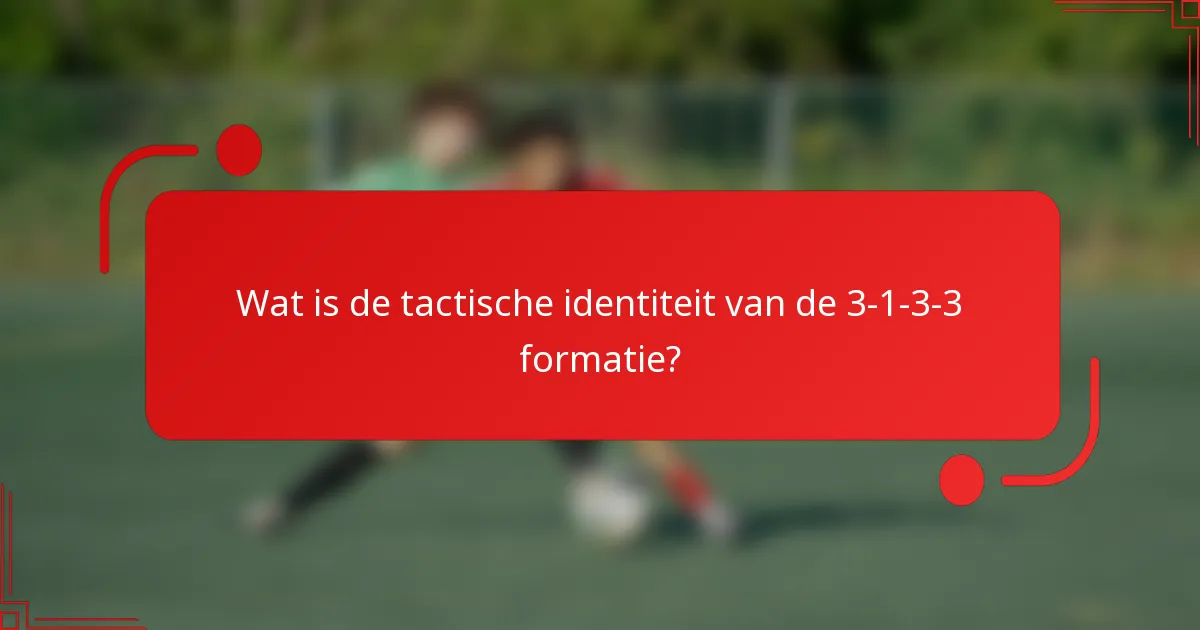 Wat is de tactische identiteit van de 3-1-3-3 formatie?