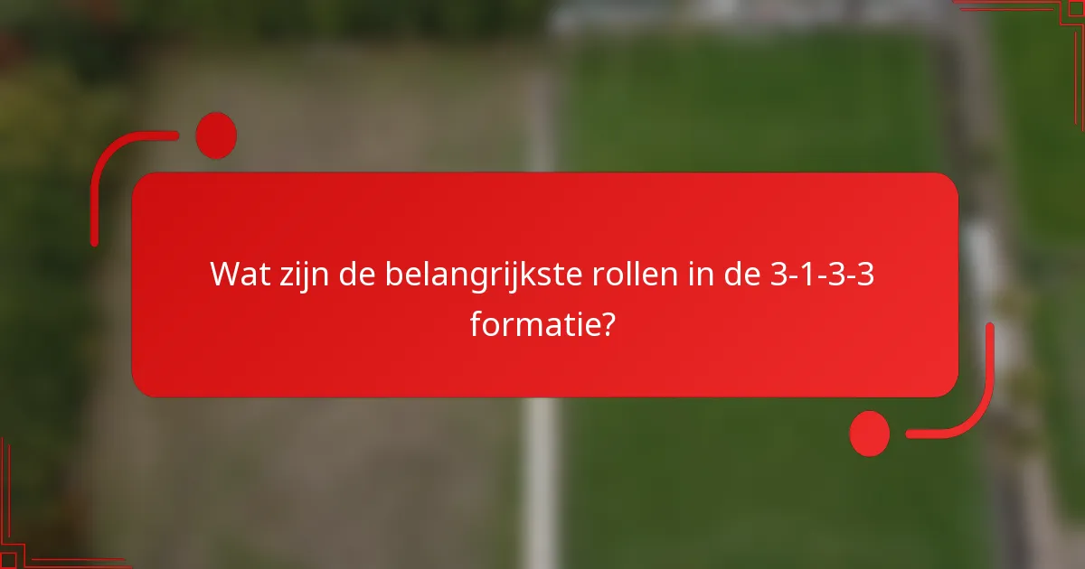 Wat zijn de belangrijkste rollen in de 3-1-3-3 formatie?