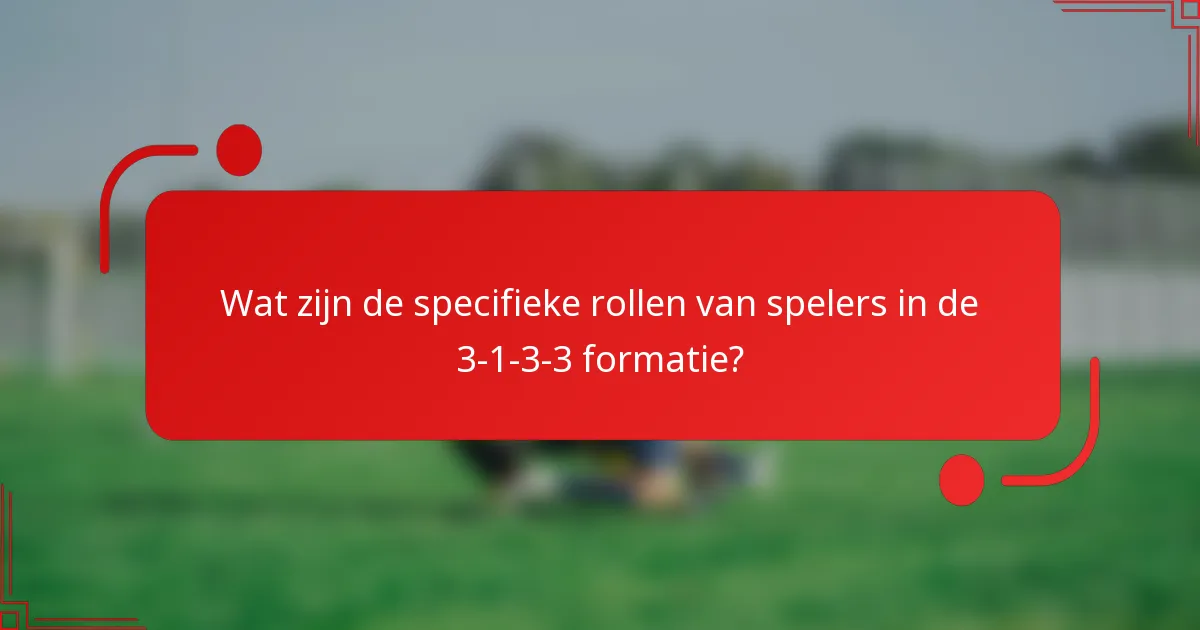 Wat zijn de specifieke rollen van spelers in de 3-1-3-3 formatie?