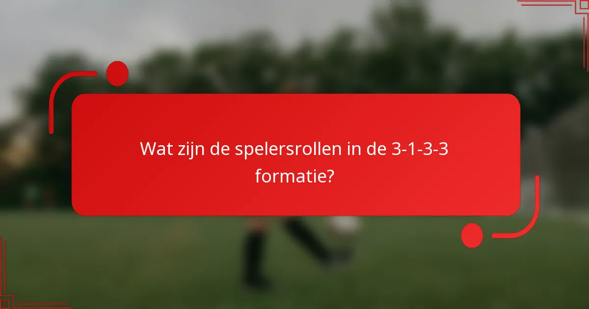 Wat zijn de spelersrollen in de 3-1-3-3 formatie?